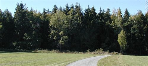 Hotel Am Bad-Wald Bad Liebenzell Extérieur photo